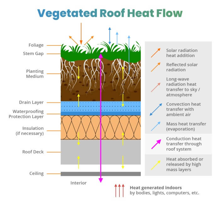 Are Green Roofs Better Than Traditional Roofs