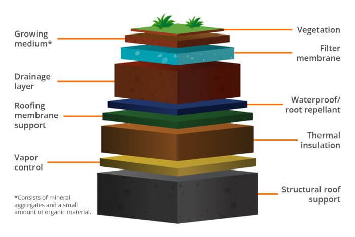 How To Install and Take Care of Green Roofs