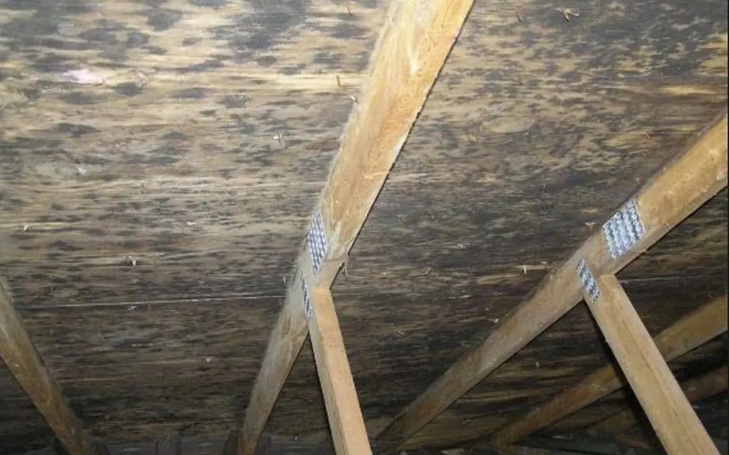 Signs You Need Roof Replacement or Repair